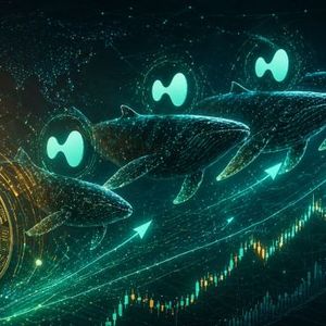 Bitcoin Whales Are All Leaning The Same Way On Hyperliquid: Discover What That Means