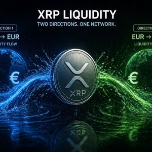 Analyst Ted Pillows Calls Out The XRP Liquidity Points In Both Directions