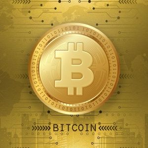 ETF Bitcoin Holdings Has Barely Moved Despite Major Price Decline