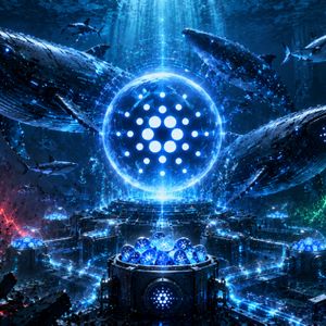 Cardano Millionaire Wallets Reach Record 25B ADA Holdings