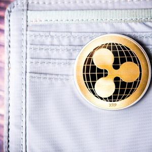 XRP Is Not The Real Leader Of RWA Despite Its Popularity, Here’s Where The Real Volume Is