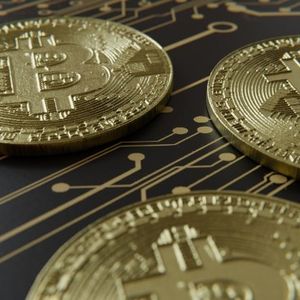 Bitcoin’s Current Volatility Pushes Supply Held In Profit Below Historic Bull Thresholds
