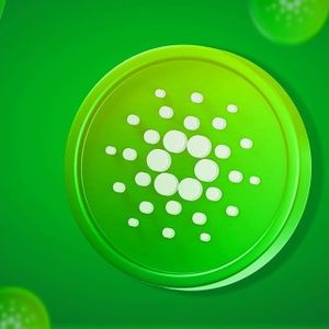What Are The 1% Cardano Investors Doing? Crypto Pundit Breaks It Down