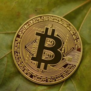 If You’re Waiting For The Bitcoin Bottom, This Pundit Says You Should Be Looking At This Quarter