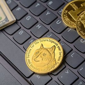 Is Dogecoin Near A Bottom? This Key Metric Is Offering New Clues On The Matter