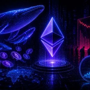 Ethereum Whales Stay Active As Retail Participation Collapses – History Offers A Clue