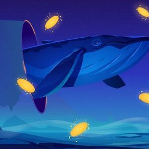 CryptoQuant Metric Signals Whale Accumulation Near Bitcoin $64K Support