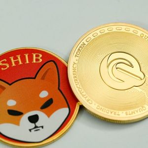 Shiba Inu Balances On Binance Plunge By 1.1 Trillion Tokens In A Month