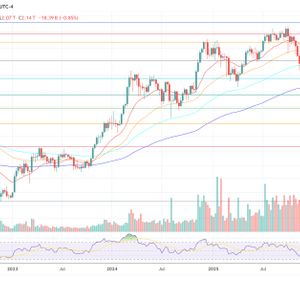 Upbit Rebalances 864B SHIB In Internal Wallet Move