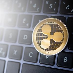 XRP Ledger Added Nearly 490K New Accounts In First Half Of 2026