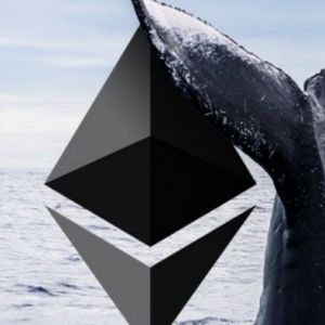 ETH Whales Snag SHIB As Shibarium Nears Launch Date