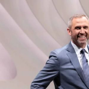 Ripple CEO Garlinghouse Is ‘Cautiously Optimistic’ For 2023