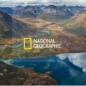 Why National Geographic Was Slammed After Its 1st NFT Announcement