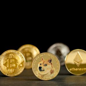 Tesla Still Holds Bitcoin And No Dogecoin, But Maintains DOGE-Only Payments