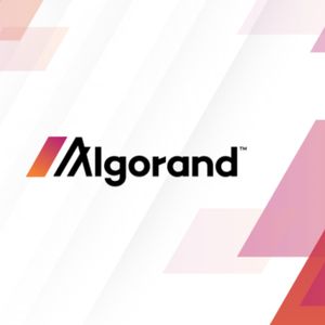 Algorand Aims To Boost Web3 Adoption In India With Strategic Partnerships