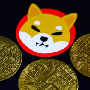 Shiba Inu Whale Buys 223 Billion SHIB As Lead Dev Teases Shibarium Before May