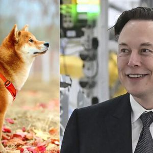 Dogecoin And Shiba Inu Soar As Elon Musk Announces New Twitter CEO