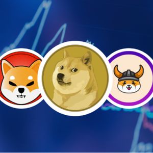 Top 5 Meme Coins Expected To Make A Surprise Rally This Week