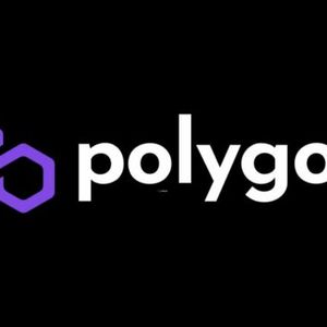 Polygon (MATIC) Tops List Among ETH Whales Ahead Of zkEVM Launch