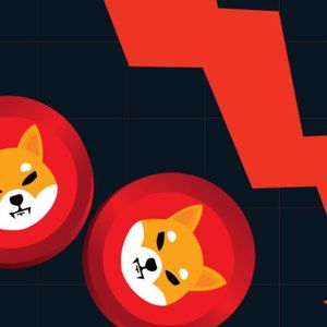 Biggest Movers: DOGE, SHIB Fall to Lowest Levels Since January