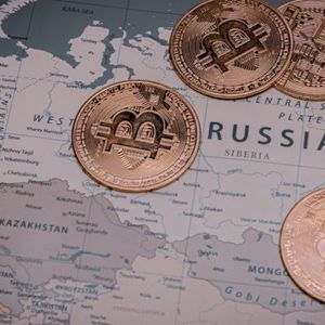 Cryptocurrency Turnover Growing in Russia, Watchdog Reports to Putin