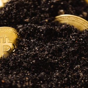 Number of Irretrievably Lost BTC Now 6 Million — Cane Island Manager