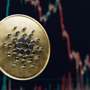 Biggest Movers: ADA Snaps Losing Streak as BCH Moves to 10-Day High