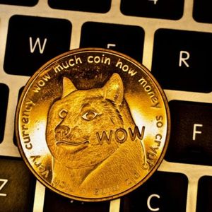 Biggest Movers: DOGE up 30%, Following Twitter Logo Change