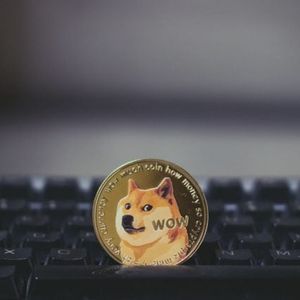 Biggest Movers: DOGE Extends Declines on Thursday, Falling by Nearly 9%