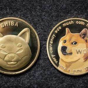 Biggest Movers: DOGE, SHIB Consolidate to Start the Week