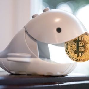 Bitcoin Whale Transfers $13 Million Worth of Dormant Coins Dating Back to 2012 and 2013