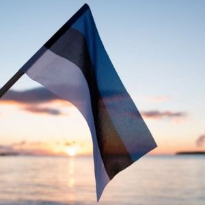 Nearly 400 Crypto Firms Lose Their Estonian Licenses Under New Rules