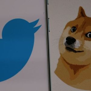 Biggest Movers: SHIB, DOGE Near Multi-Month Lows, as Musk Finds New Twitter CEO