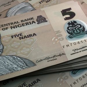 Nigerian Currency Falls by More Than 30% After Central Bank Announced New Forex Market Rules