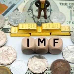 IMF Boss: Supporting Egyptian Currency Akin to ‘Putting Water in a Bucket That Has Holes’