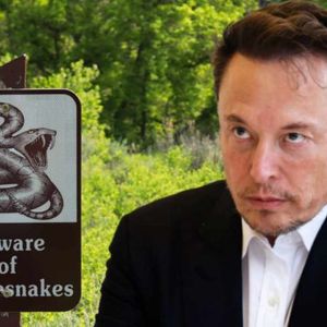 Elon Musk Sparks Controversy With Twitter Rate Limits — Censorship Expert Says Musk ‘Has Stepped on a Rattlesnake’