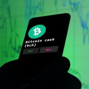 Biggest Movers: BCH Price Plunges Following Recent 15-Month High