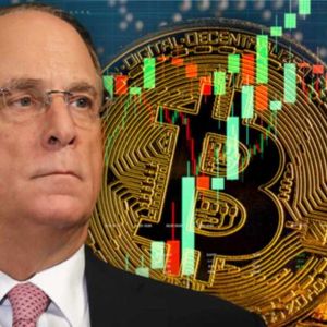 Blackrock Seeks to Democratize Crypto — CEO Says Bitcoin Can Hedge Against Inflation, Currency Devaluation