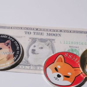 Biggest Movers: SHIB up 7% on Saturday, as DOGE Moves to 2-Month Peak