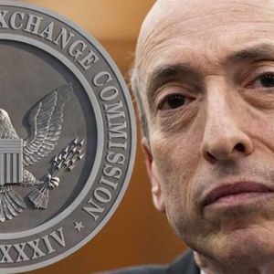 SEC Asks for Increased Funding to Tackle Crypto Market Risks and Wrongdoing