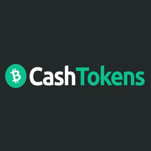 BCH Ecosystem Fund Bolsters Cashtokens Ecosystem With $20 Million Investment