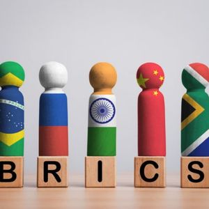 Deeper Ties With BRICS Should Not Jeopardize Relations With the West — South African Business Association Leader