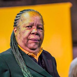 South Africa’s Foreign Minister Hints at Expansion of BRICS Bloc With 3 New Members
