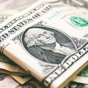 Cato Institute Experts: Dollarization ‘Protects Ordinary People’s Purchasing Power’