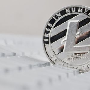 Litecoin Completes Third Block Reward Halving, Cutting Rewards to 6.25 LTC; Miners Face Revenue Loss as Prices Dip 4%