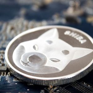 Biggest Movers: SHIB 5% Higher as Meme Coin Nears Key Resistance Level