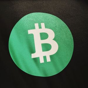 Cashtokens Upgrade 3 Months Out: BCH Developers Building NFT Creator Studio, Marketplaces, Wallets, and More