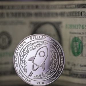 Biggest Movers: XLM, DOGE Rebound on Saturday, Following Recent Market Sell Off