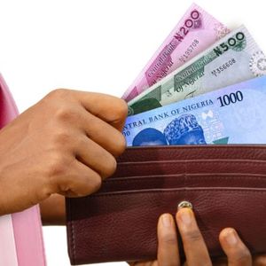 Report: Nigerian Central Bank Sued for Dollarizing Economy