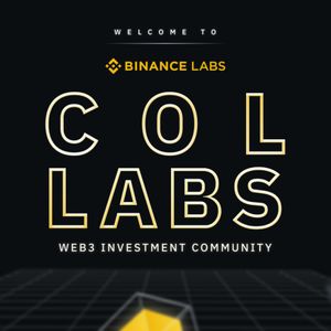Introducing ColLabs: A Web3 Investment Community by Binance Labs